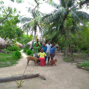 Eco Hotel Las Palmeras